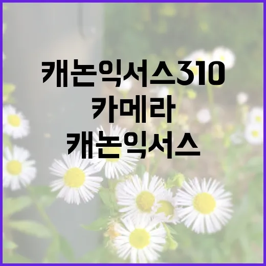 캐논 익서스 310 카메라를 최대한 활용하는 방법 - 요약