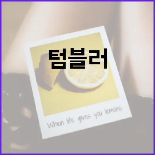 AM 텀블러를 최적으로 사용하는 방법 - 요약