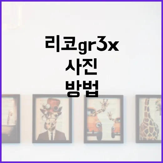 리코 GR3x로 최고의 사진을 찍는 방법 - 요약