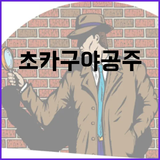 초 카구야 공주에 대해 알아야 할 모든 것 - 요약