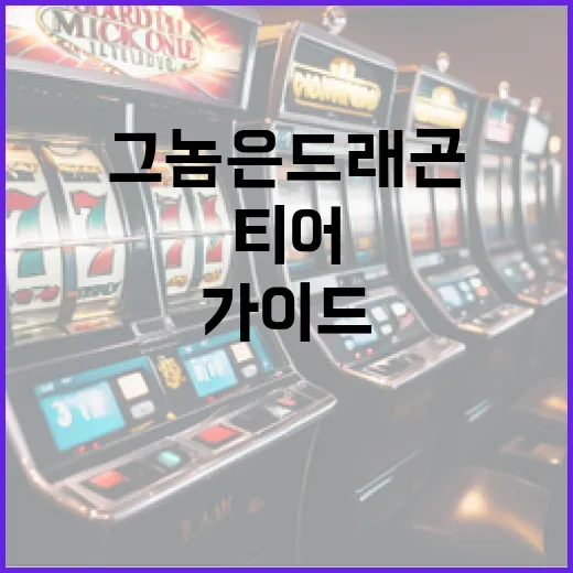 그놈은 드래곤 티어 사용 방법: 초보자를 위한 필수 가이드 - 요약