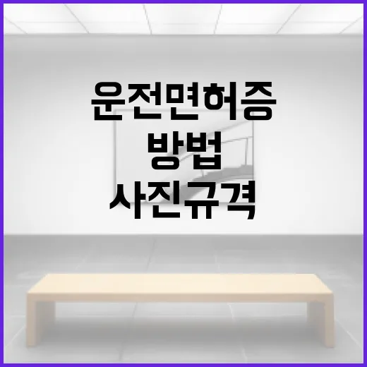 운전면허증 사진 규격을 완벽하게 준비하는 방법 - 요약