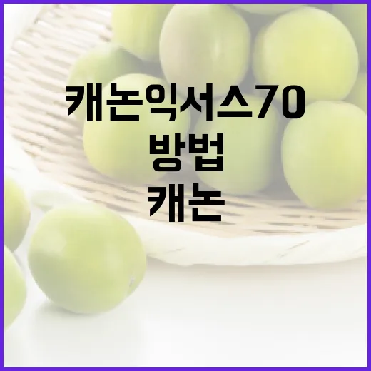 캐논 익서스 70 사용 방법과 팁: 완벽한 사진을 찍으려면 이렇게 - 요약