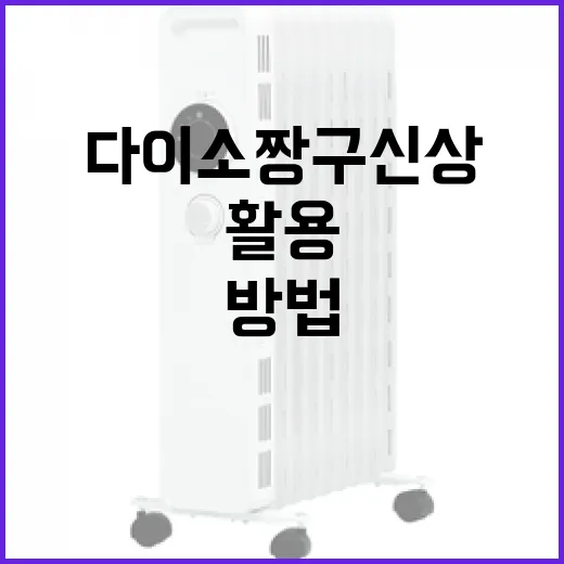 다이소 짱구 신상 제품 활용하는 방법 - 요약