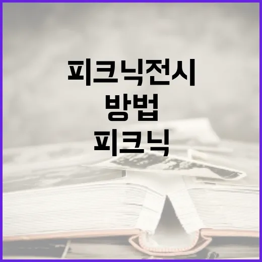 피크닉 전시를 성공적으로 준비하는 방법 - 요약