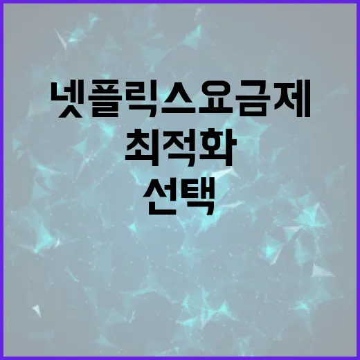 넷플릭스 요금제를 최적화하여 선택하는 방법 - 요약