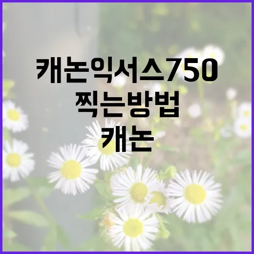 캐논 익서스 750으로 멋진 사진을 찍는 방법 - 요약
