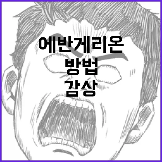 에반게리온 시리즈를 올바르게 감상하는 방법 - 요약