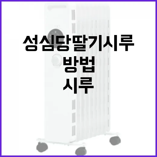 성심당 딸기시루 제대로 즐기는 방법 - 요약