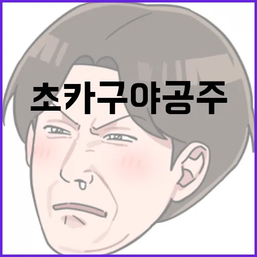 초카구야공주를 이해하는 방법: 역사와 문화적 배경 - 요약