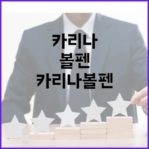 카리나 볼펜을 완벽하게 활용하는 방법 - 요약