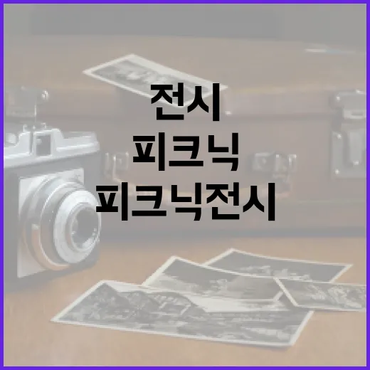 성공적인 피크닉 전시를 위한 준비 방법 - 요약