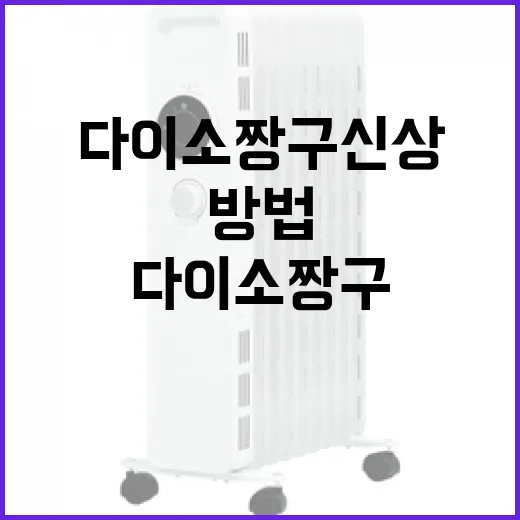 다이소 짱구 신상 제품으로 집 꾸미는 방법 - 요약