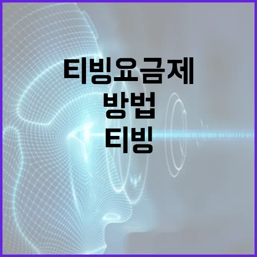 티빙 요금제를 선택하는 방법 - 요약