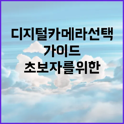 디지털 카메라 선택하는 방법: 초보자를 위한 가이드 - 요약