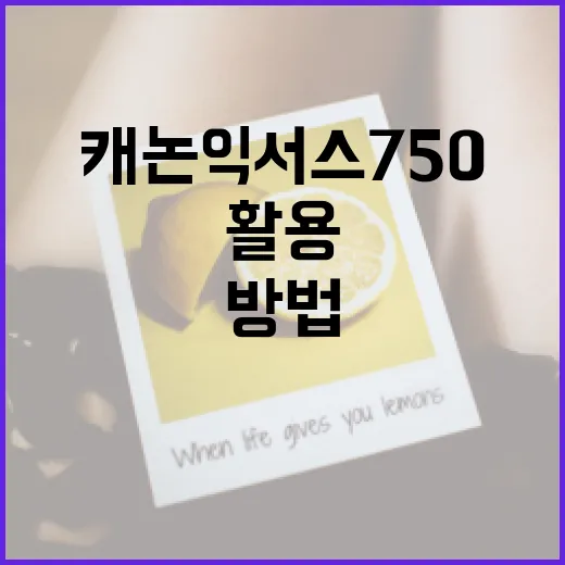 캐논 익서스 750를 최적 활용하는 방법 - 요약