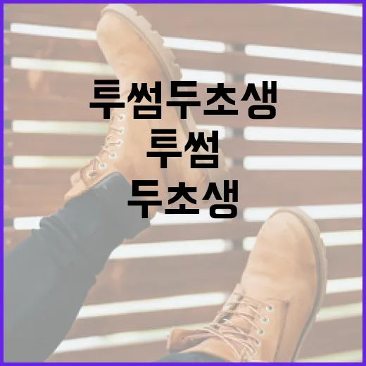 투썸 두초생을 활용하여 생산성을 높이는 방법 - 요약