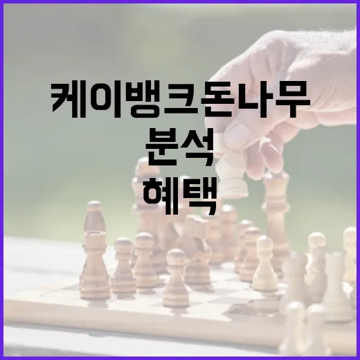 케이뱅크 돈나무 사용 방법과 혜택 분석 - 요약