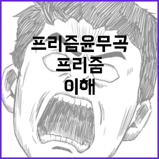 프리즘 윤무곡의 효과적인 이해 방법 - 요약