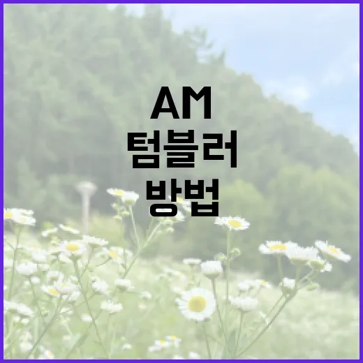 AM 텀블러를 제대로 활용하는 방법 - 요약
