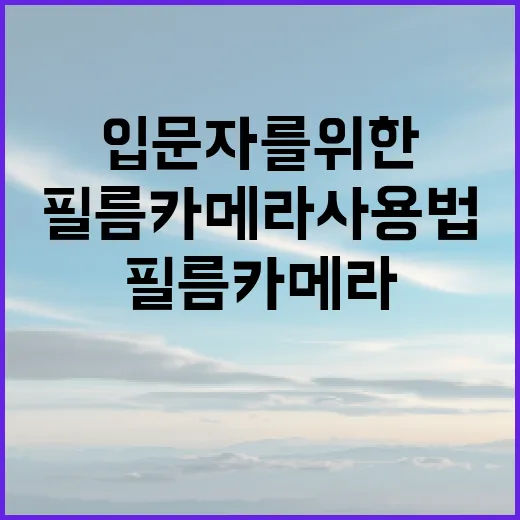 필름카메라 사용법: 입문자를 위한 가이드 - 요약