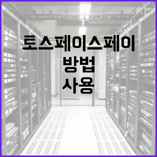 토스 페이스페이를 안전하게 사용하는 방법 - 요약