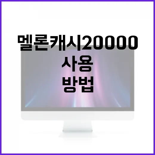멜론 캐시 20000을 효과적으로 사용하는 방법 - 요약
