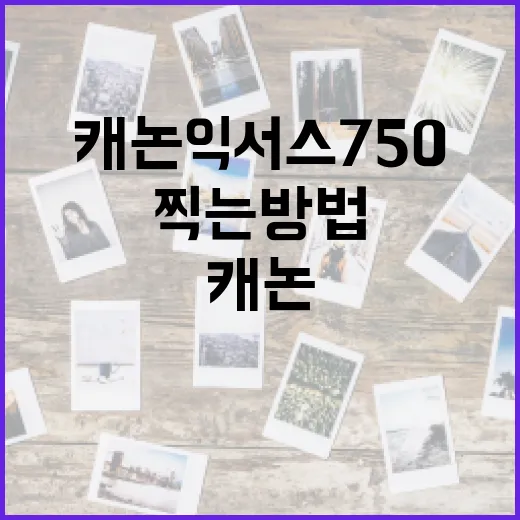 캐논 익서스 750로 멋진 사진을 찍는 방법 - 요약