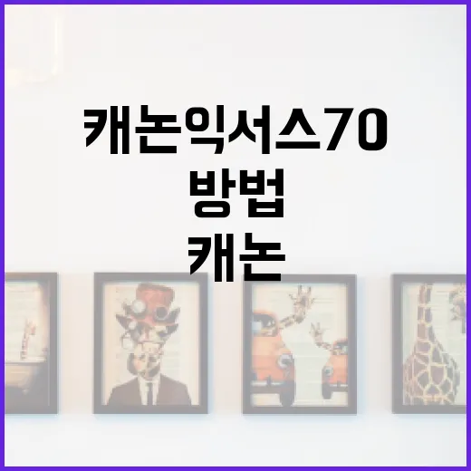 캐논 익서스 70으로 멋진 사진을 촬영하는 방법 - 요약