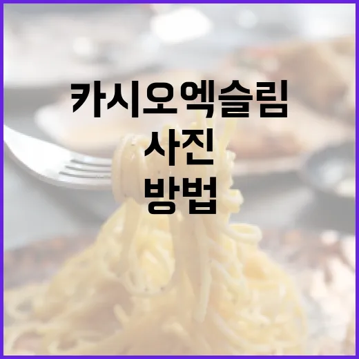 카시오 엑슬림으로 멋진 사진을 찍는 방법 - 요약