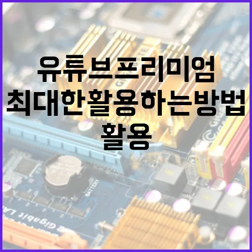 유튜브 프리미엄을 최대한 활용하는 방법 - 요약