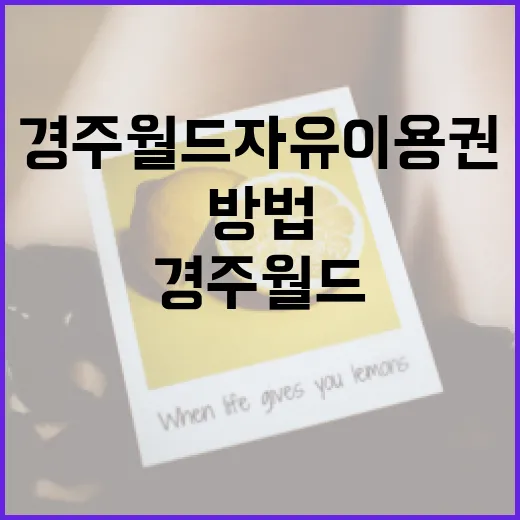 경주월드 자유이용권을 효과적으로 활용하는 방법 - 요약