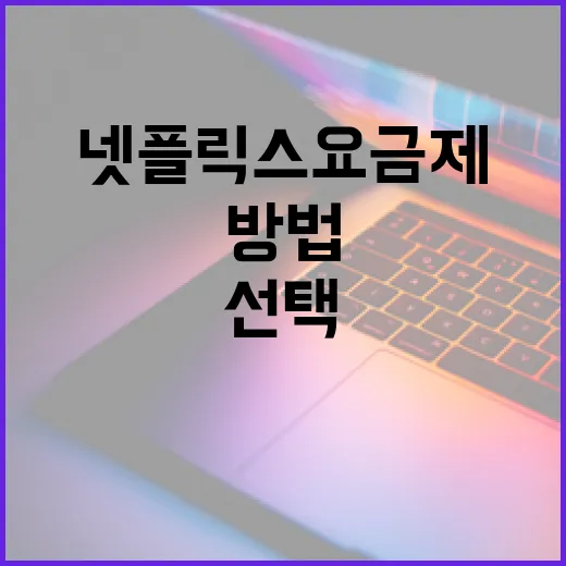 넷플릭스 요금제를 선택하는 방법 - 요약
