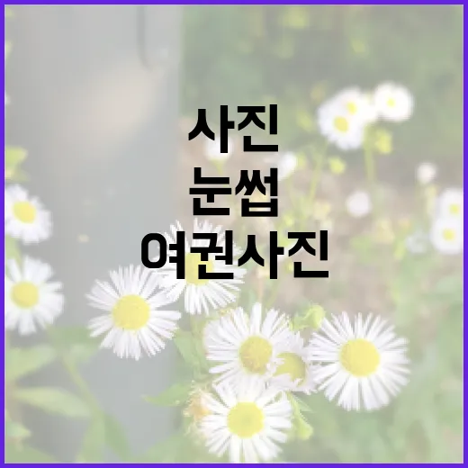 여권사진에서 눈썹을 완벽하게 준비하는 방법 - 요약