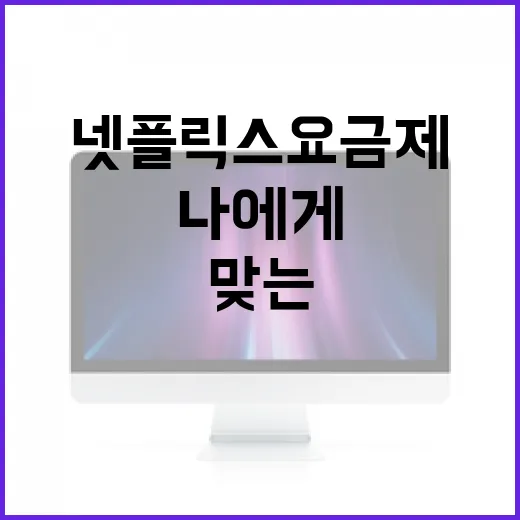 나에게 맞는 넷플릭스 요금제를 선택하는 방법 - 요약