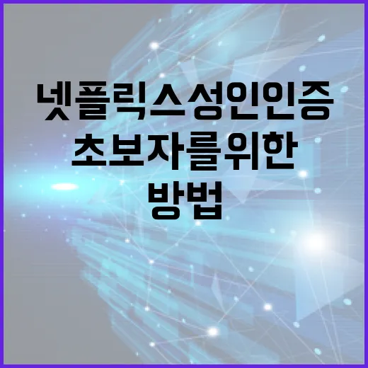 초보자를 위한 넷플릭스 성인인증 방법 - 요약