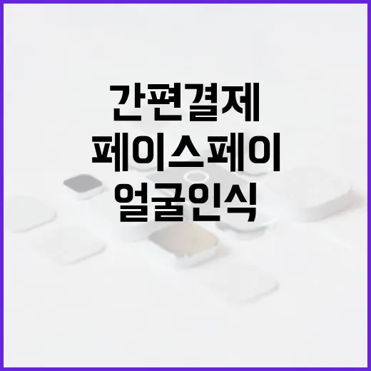 페이스페이 결제 방법: 얼굴 인식을 통한 간편 결제 가이드 - 요약