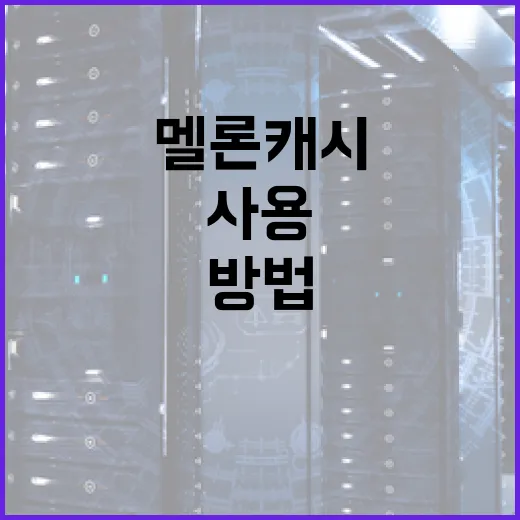 멜론 캐시를 효과적으로 사용하는 방법 - 요약