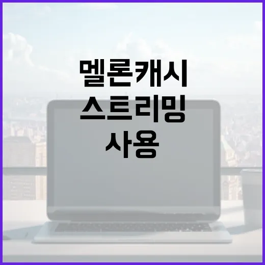 멜론 캐시 사용으로 스트리밍 경험 최적화하는 방법 - 요약