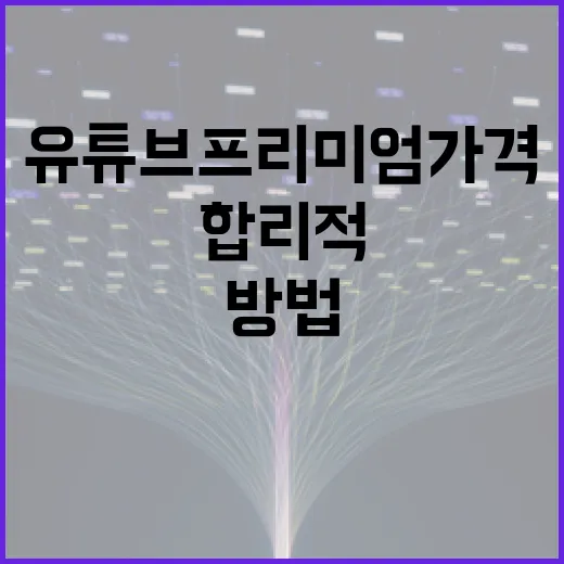유튜브 프리미엄 가격을 합리적으로 이용하는 방법 - 요약