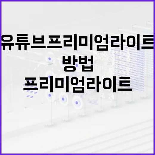 유튜브 프리미엄 라이트 활용하는 방법 - 요약