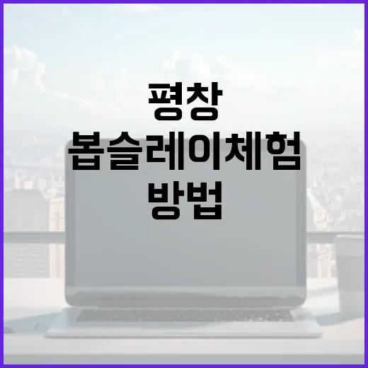평창에서 봅슬레이 체험하는 방법 - 요약