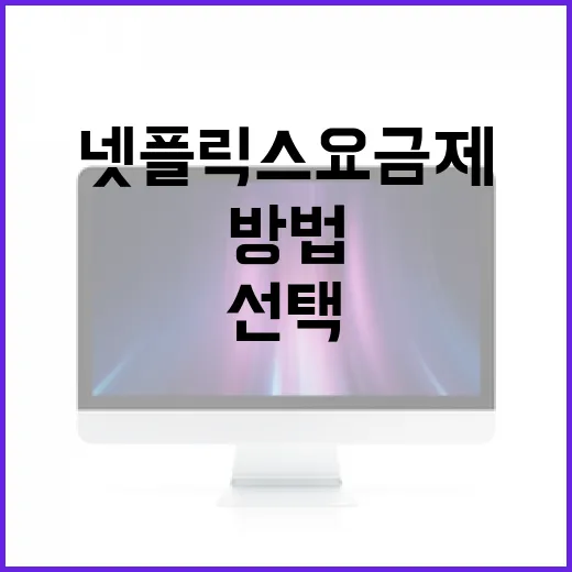 넷플릭스 요금제를 선택하는 방법 - 요약