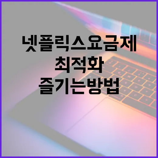 넷플릭스 요금제를 최적화하여 즐기는 방법 - 요약