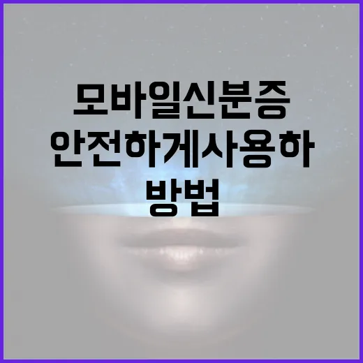 모바일 신분증을 안전하게 사용하기 위한 방법 - 요약
