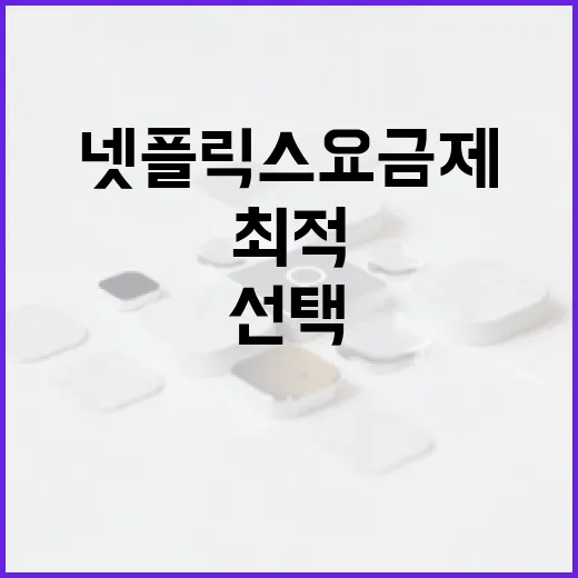 최적의 넷플릭스 요금제를 선택하는 방법 - 요약