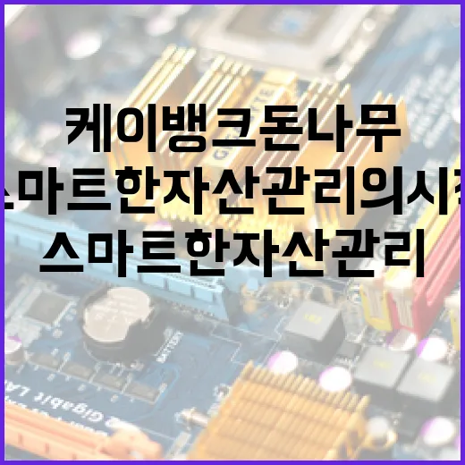 케이뱅크 돈나무를 활용하는 방법: 스마트한 자산 관리의 시작 - 요약