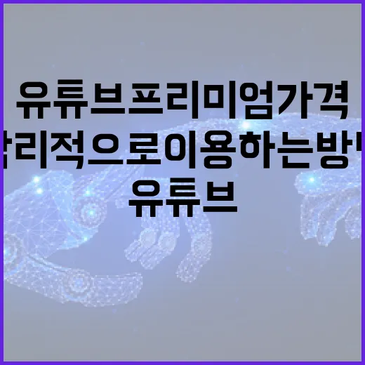 유튜브 프리미엄 가격의 모든 것: 합리적으로 이용하는 방법 - 요약