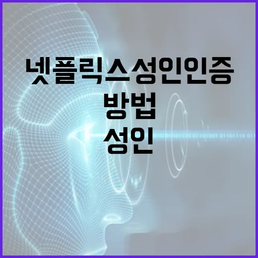 넷플릭스 성인인증을 설정하는 방법 - 요약