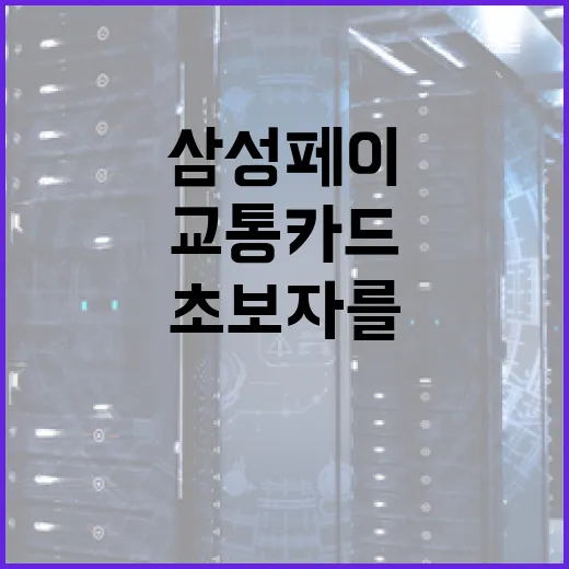 삼성페이로 교통카드 사용하기: 초보자를 위한 가이드 - 요약